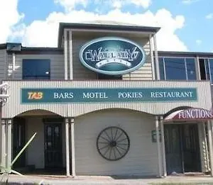 Wallaby 3* Mudgeeraba